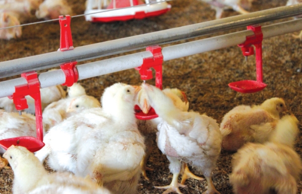 水線(xiàn)終端組件