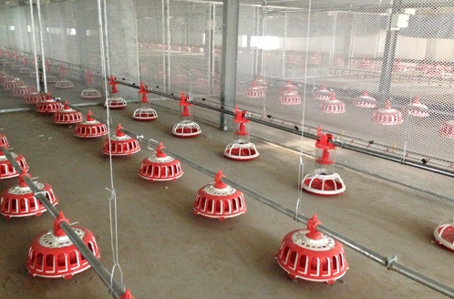 索盤(pán)鏈條系統(tǒng)