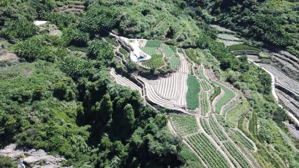 1553846612890289.jpg 7_編輯.jpg