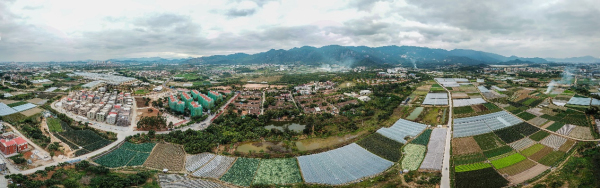 1553846648440948.jpg 9_編輯.jpg